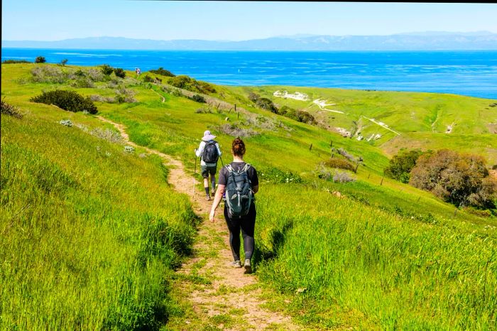 Two hikers follow a trail leading downhill toward the sea.