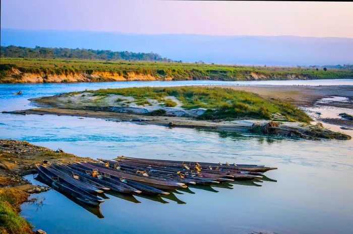 Pirogues on the Rapti River in Chitwan, Nepal