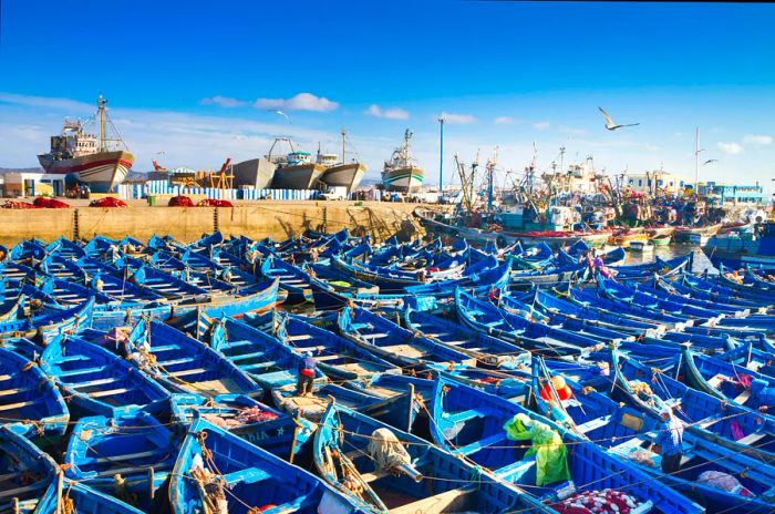 Fishermen's boats dot the harbor in Essaouira, a city on Morocco's Atlantic coast.