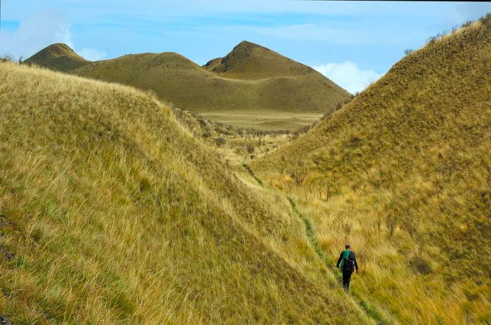 A hiker makes their way toward the summit of Mt Cameroon, Cameroon