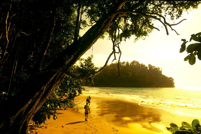 People stroll along the shore next to a lush jungle.