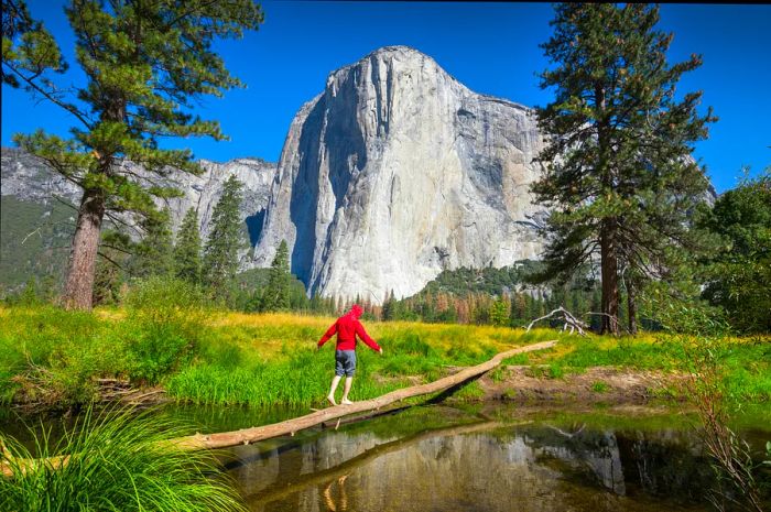 A hiker balances on a fallen tree over a tributary of the Merced River, with the iconic El Capitan rock formation looming in the scenic Yosemite Valley, Mariposa County, California.