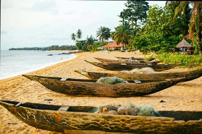 Row of wooden canoes resting on a sandy, secluded beach