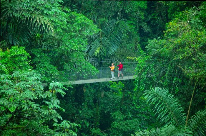 Two individuals stroll across a hanging bridge in Arenal, Costa Rica