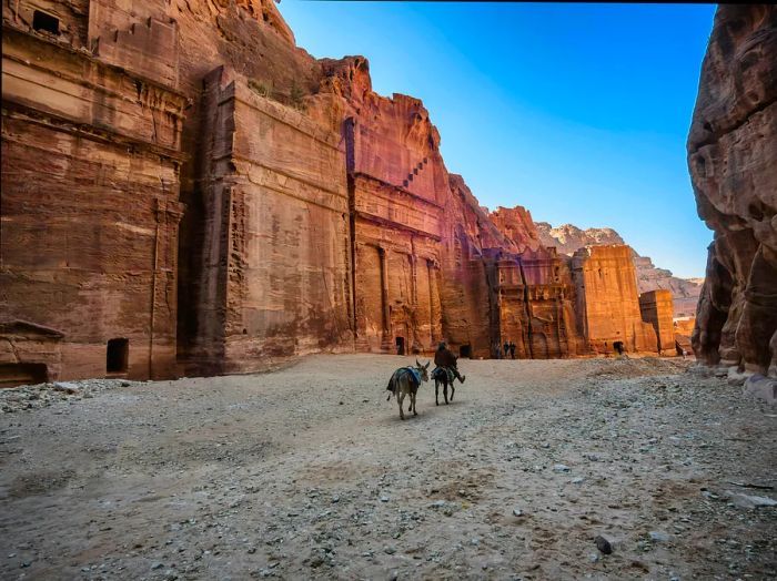 Two donkeys, one carrying a rider, navigate the streets of a rose-hued sandstone city.