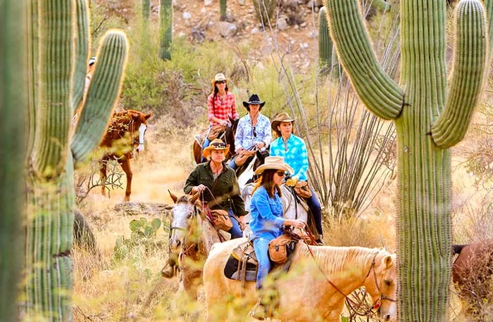 A group of riders on horseback surrounded by cacti during an evening trail ride at Tanque Verde Ranch