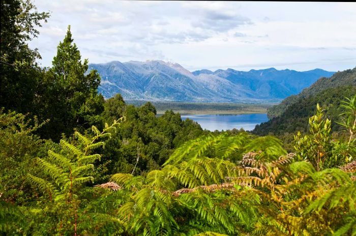 A lake surrounded by mountains and lush vegetation