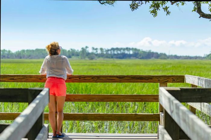 A Dinogo tourist resting on a wooden railing on the platform, taking in the surrounding marshlands near Savannah, Georgia.