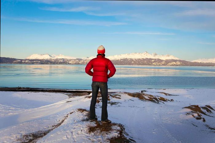 A hiker gazes across the vast expanse of Tierra del Fuego