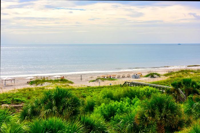 A wide sandy beach lined with dunes, featuring a cluster of loungers for relaxation.