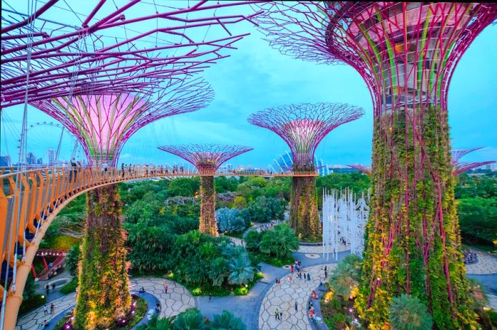 A collection of towering artificial trees stretches above a walkway.