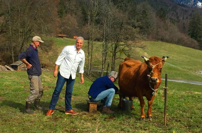 Anthony Bourdain milking a cow in the French Alps