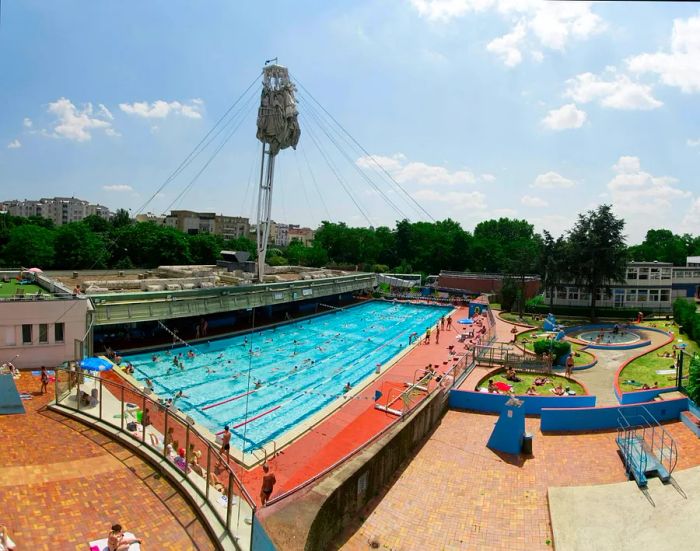 An Olympic-sized lap pool basking in the sunshine.