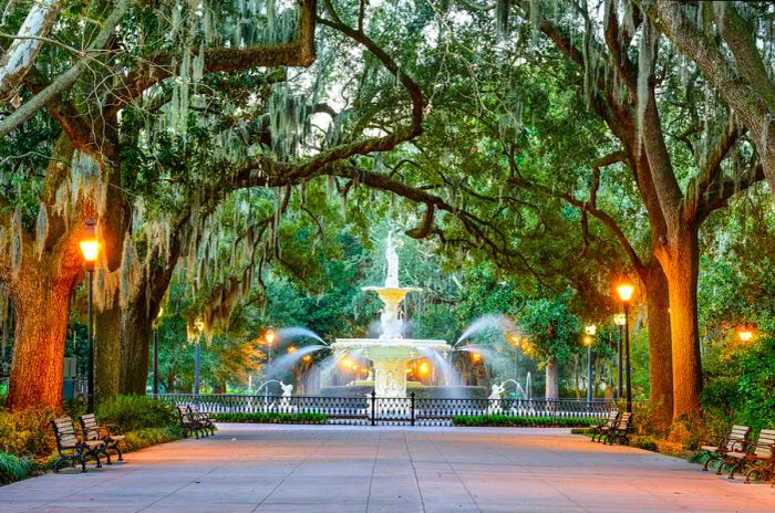 The iconic Forsyth Park fountain, beautifully framed by a canopy of trees in Savannah, is a must-see.