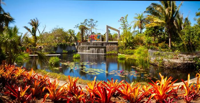 A tranquil pond adorned with water lilies reflects the lush tropical trees and plants surrounding it at the Naples Botanical Gardens in Naples, Florida.