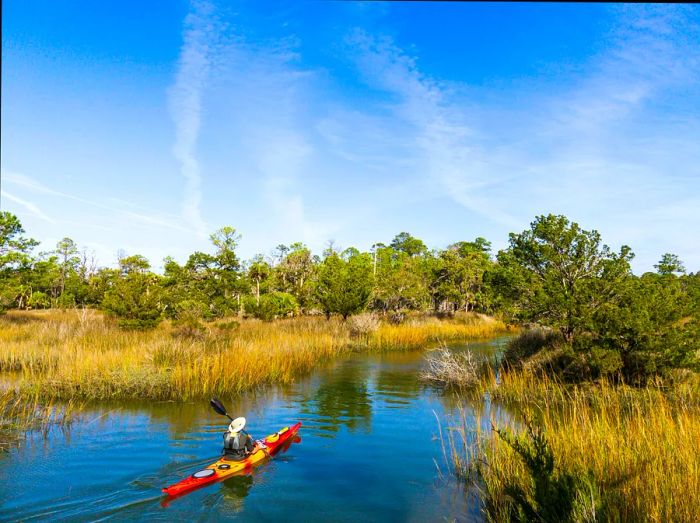 Man kayaking in Skidaway Island State Park near Savannah, Georgia