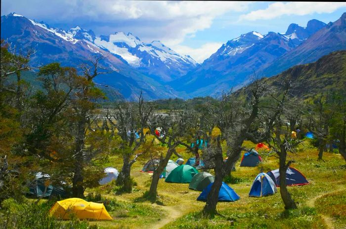 Tents are pitched beneath a canopy of trees at the foot of mountains in Argentina.