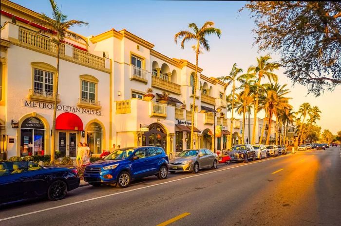 Palm trees line the street as cars park beside the white buildings at sunset