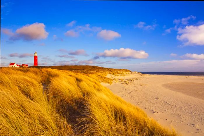 The Texel Lighthouse stands proudly near a sandy beach in the early morning light.