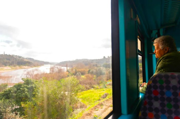 A traveler gazes out at the Tagus River from a train window in Portugal.