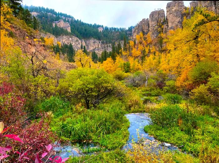 A canyon landscape adorned with foliage transitioning from green to vibrant shades of red, yellow, and gold in autumn.