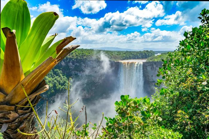 Kaieteur Falls nestled within the lush Guyanese rainforest