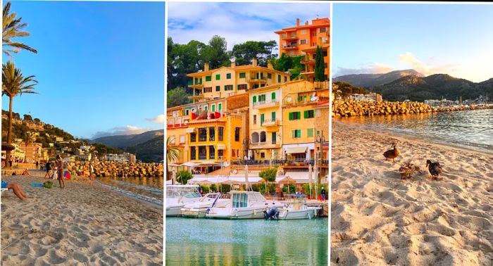 Scenes of Port de Sóller beach featuring boats moored in the harbor, with people and ducks enjoying the sandy shores