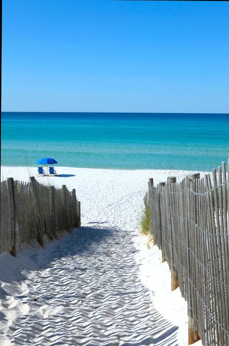 A sandy path winds down to a beach adorned with a blue umbrella