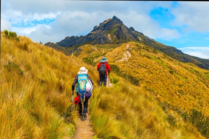 A group of hikers navigates a trail through a hilly landscape on their way to a volcanic summit.