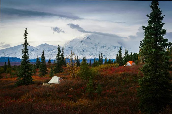 A towering snow-capped mountain rises above a landscape dotted with two tents