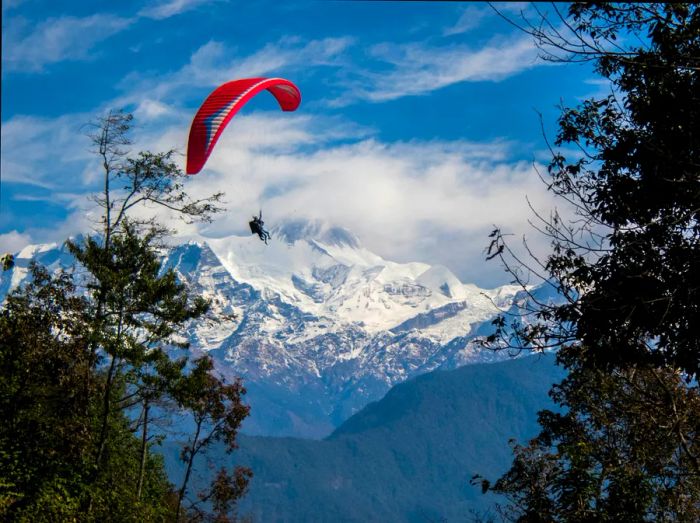 Tandem paragliders drift through the skies with the Himalayas as a stunning backdrop near Pokhara, Nepal