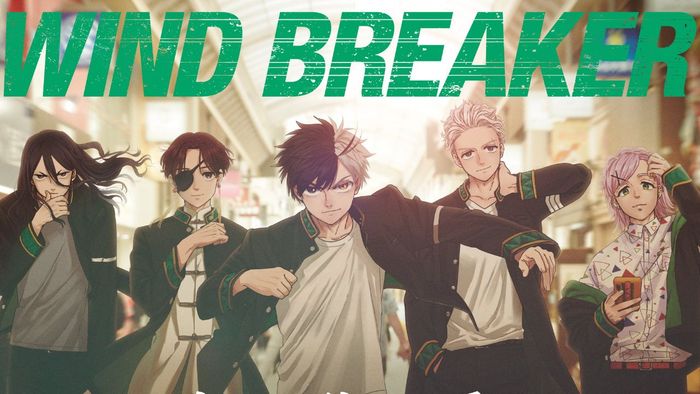 Wind Breaker đang thịnh hành tại Mỹ