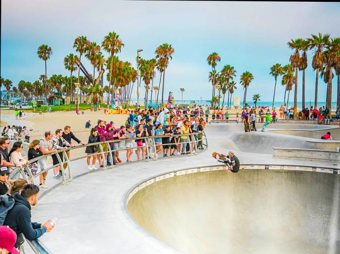 Skateboarders in action at the Venice Beach skate park in Los Angeles, California