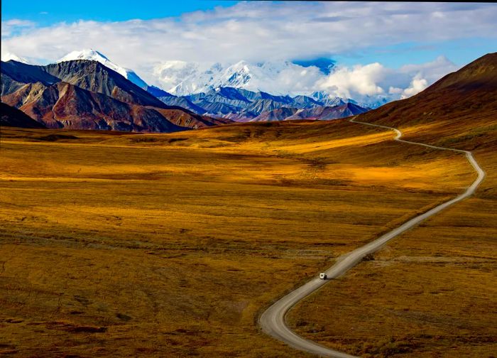 A winding road through Denali National Park during fall, Alaska