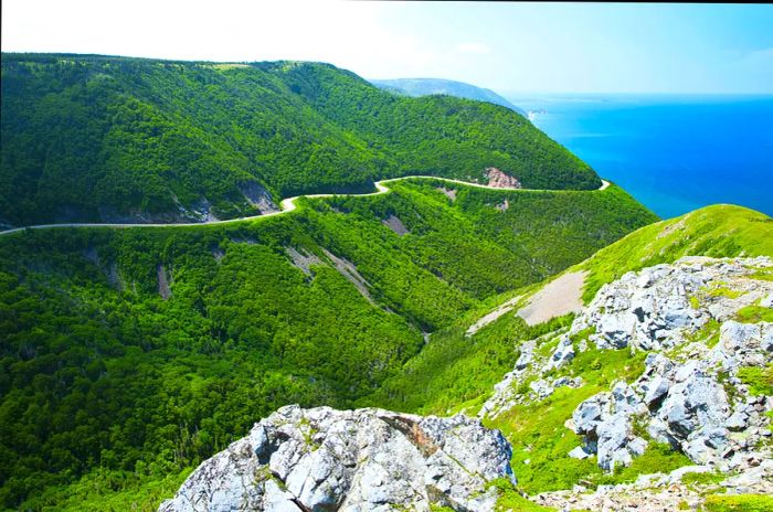 A winding road embraces the hills along the coastline.