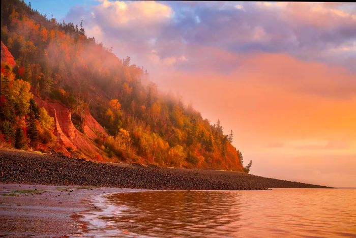 The evening light casts a golden hue on the fall foliage at the cliffs of Cape Blomidon, Bay of Fundy, Nova Scotia, Canada