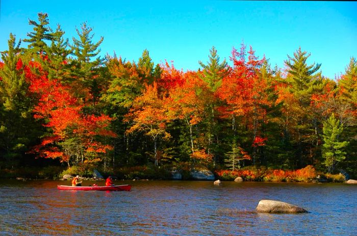 Two individuals paddle a canoe through vibrant fall foliage at Kejimkujik National Park, Nova Scotia, Canada