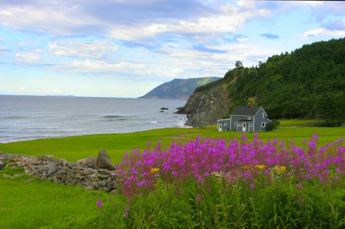 Springtime along the Nova Scotia coastline