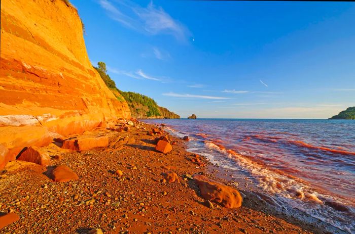 A beach featuring unique orange sand