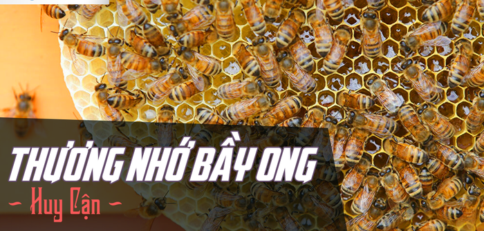 Hình ảnh minh họa (Nguồn từ internet) số 1