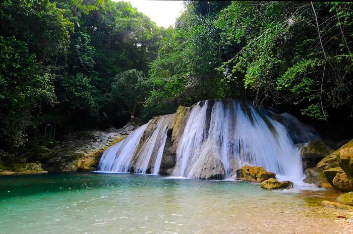 A waterfall tumbles into a pool surrounded by lush greenery.