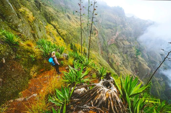 A hiker overlooking a lush valley on Santo Antão island in Cabo Verde