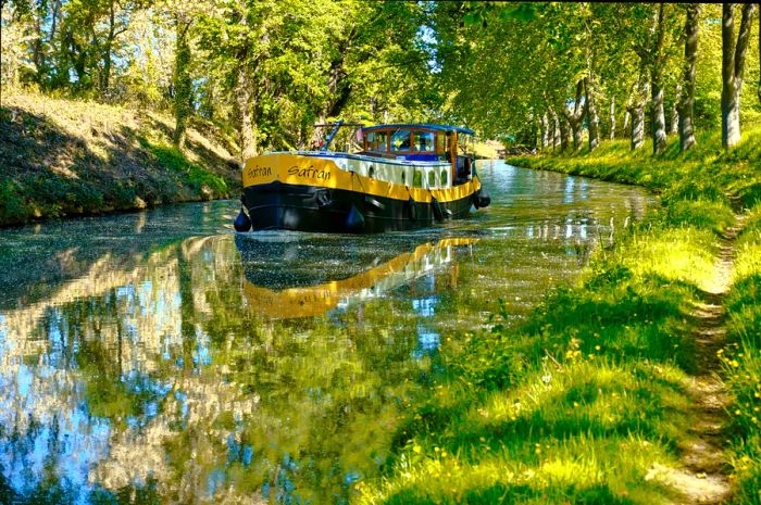 A flat-bottomed boat gliding along a tree-lined bend of the Canal du Midi in southern France, with sycamores perfectly mirrored in the water.