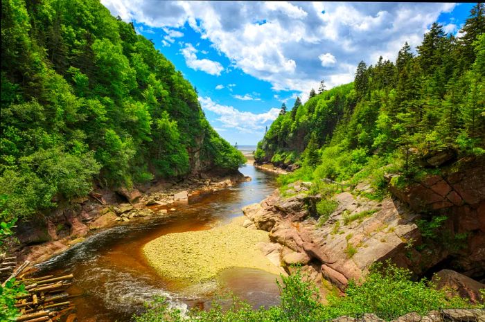 A tidal channel nestled between two wooded hills