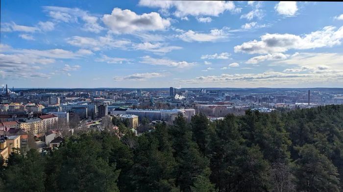 A panoramic view of the city skyline framed by trees.