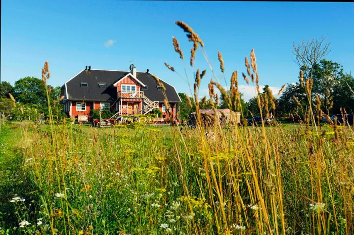 A stunning farmhouse overlooks a vibrant field in Estonia.