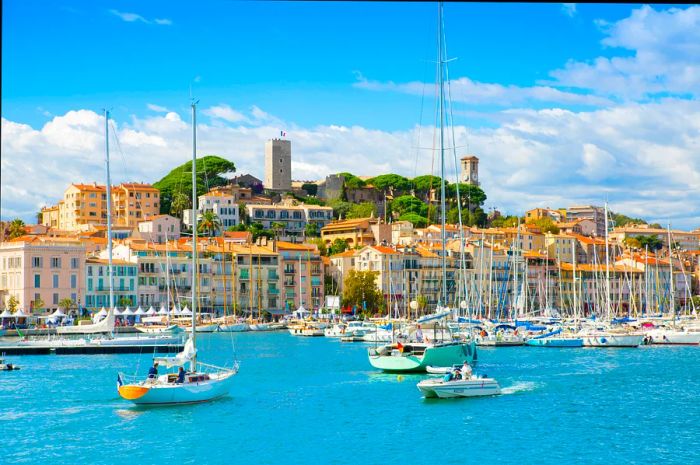 Numerous small sailing boats dot the Port of Cannes, with traditional French houses climbing the hillside behind them.