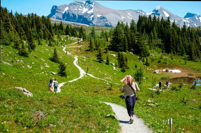 A group of people strolls along well-defined paths through a grassy area set against a backdrop of mountains and evergreen trees.