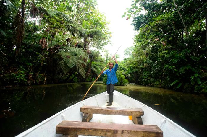 An elderly man paddles a canoe down a river flanked by jungle on both sides