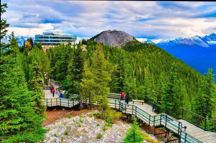 A group walks along a boardwalk winding through evergreen trees, linking Sulphur Mountain to the upper gondola station in Banff.